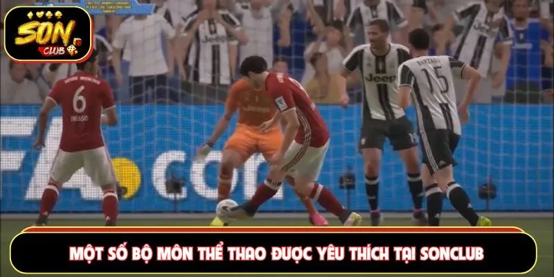 Một số bộ môn thể thao được yêu thích tại Sonclub
