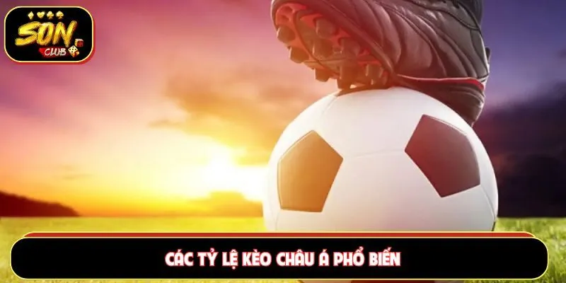 Tổng hợp các tỷ lệ kèo châu Á phổ biến bạn nên biết